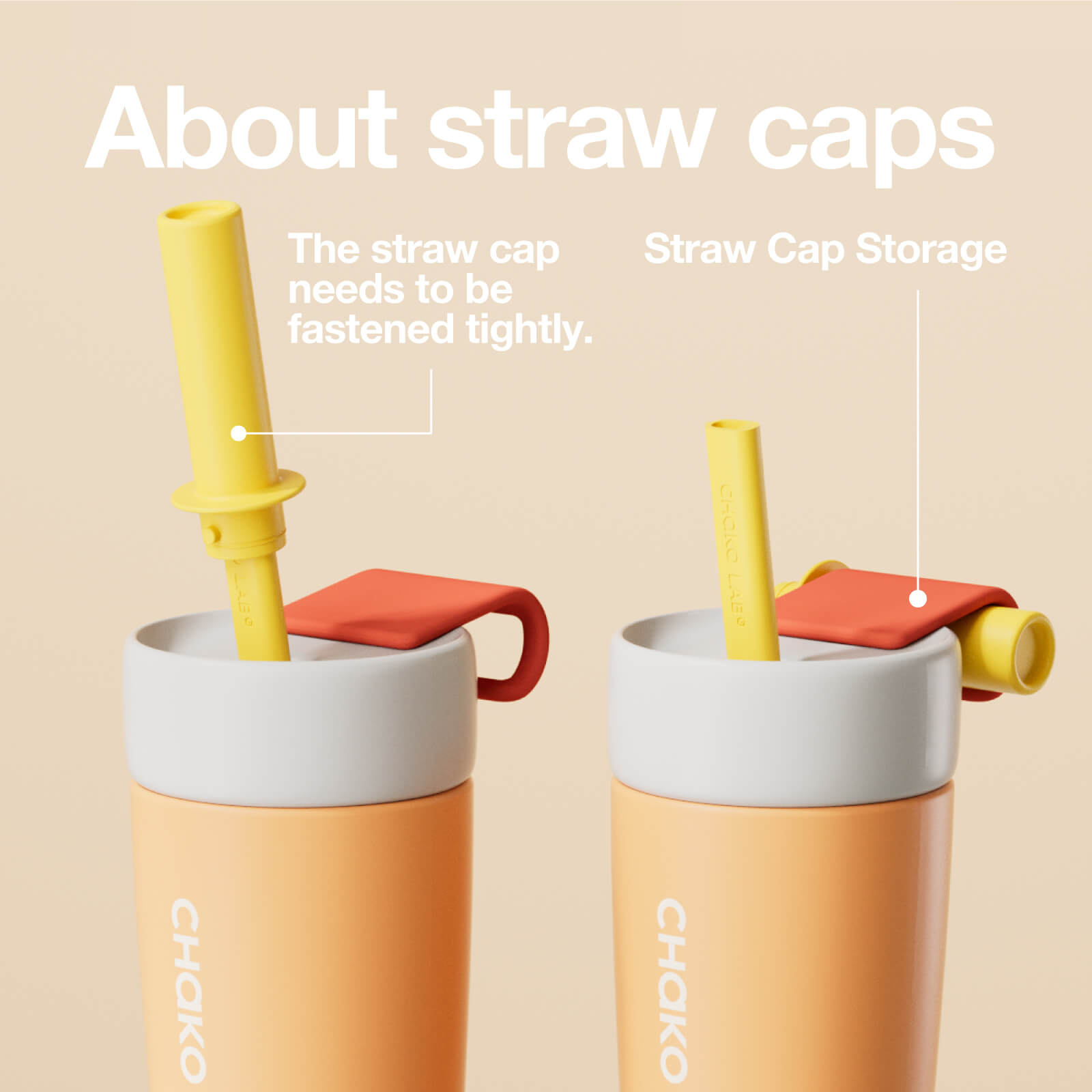 Splitto Tumbler - Apricot
